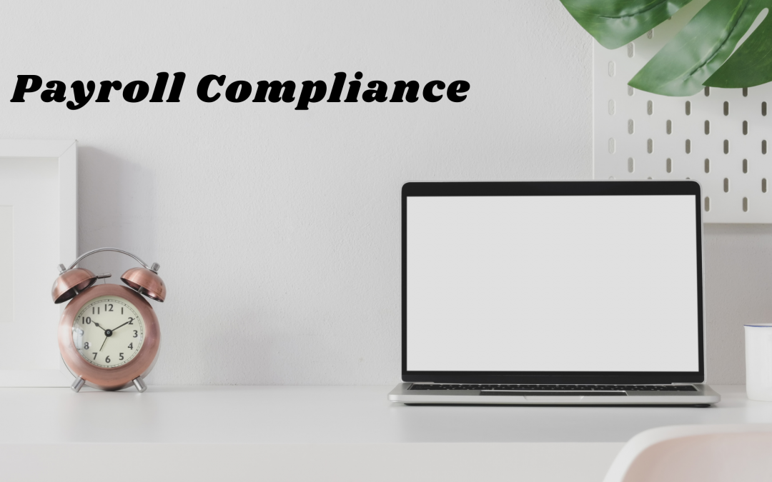 How to Ensure Your Payroll is Compliant with ATO and The Fair Work Ombudsman – Payroll Compliance